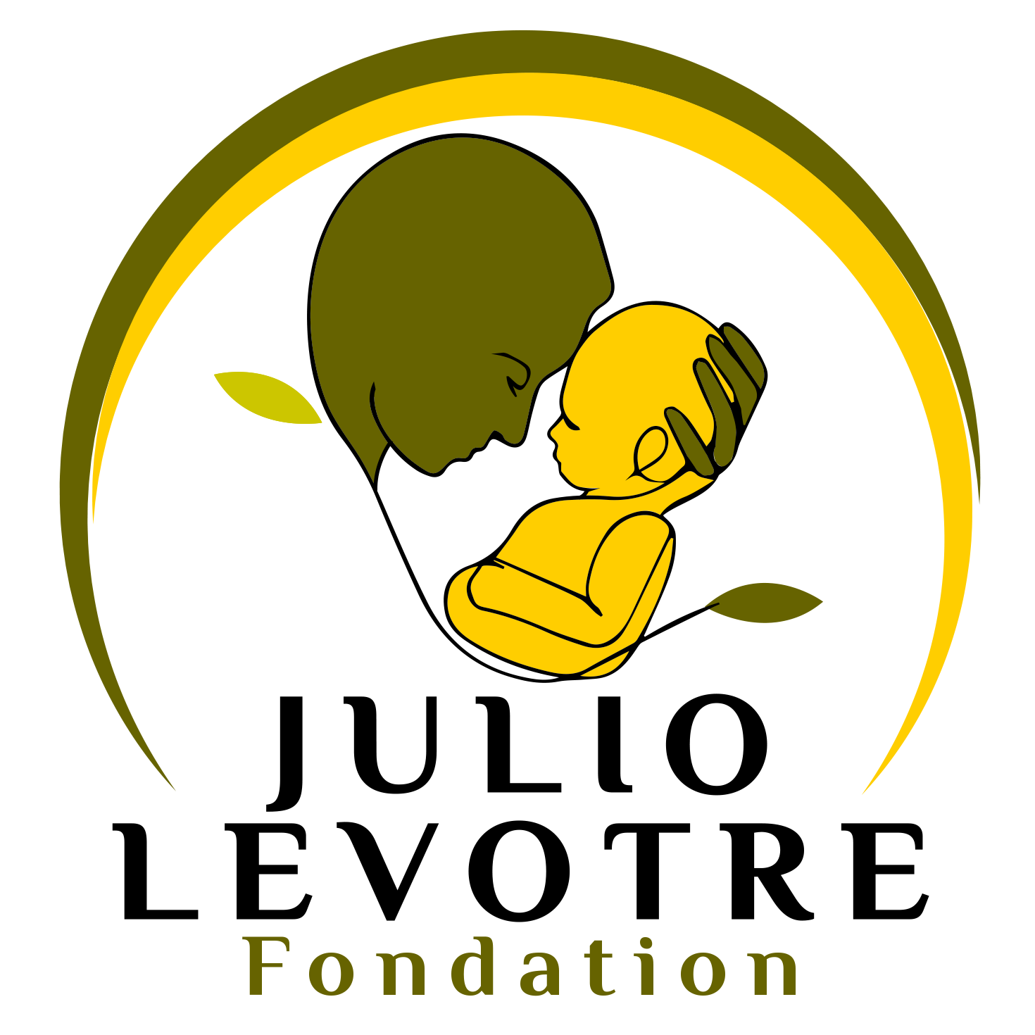 Logo Fondation Julio Levotre